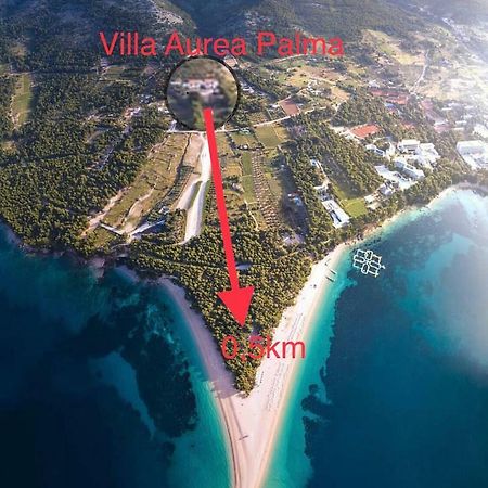 Villa Aurea Palma 볼 외부 사진