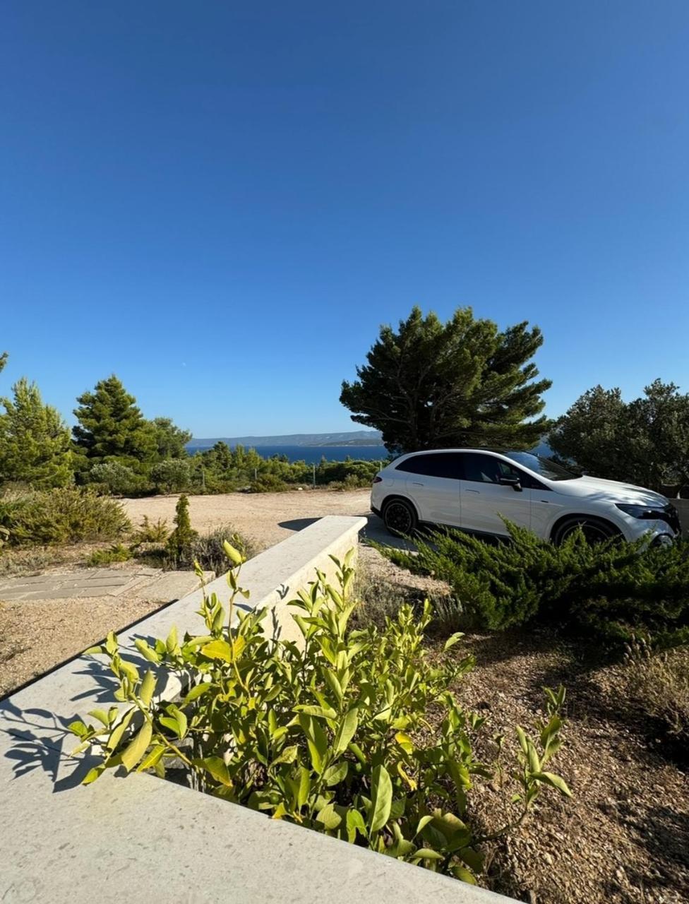 Villa Aurea Palma 볼 외부 사진