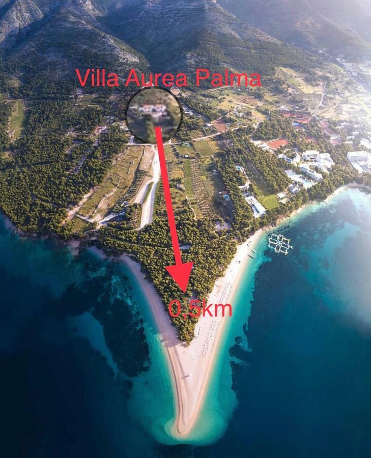 Villa Aurea Palma 볼 외부 사진